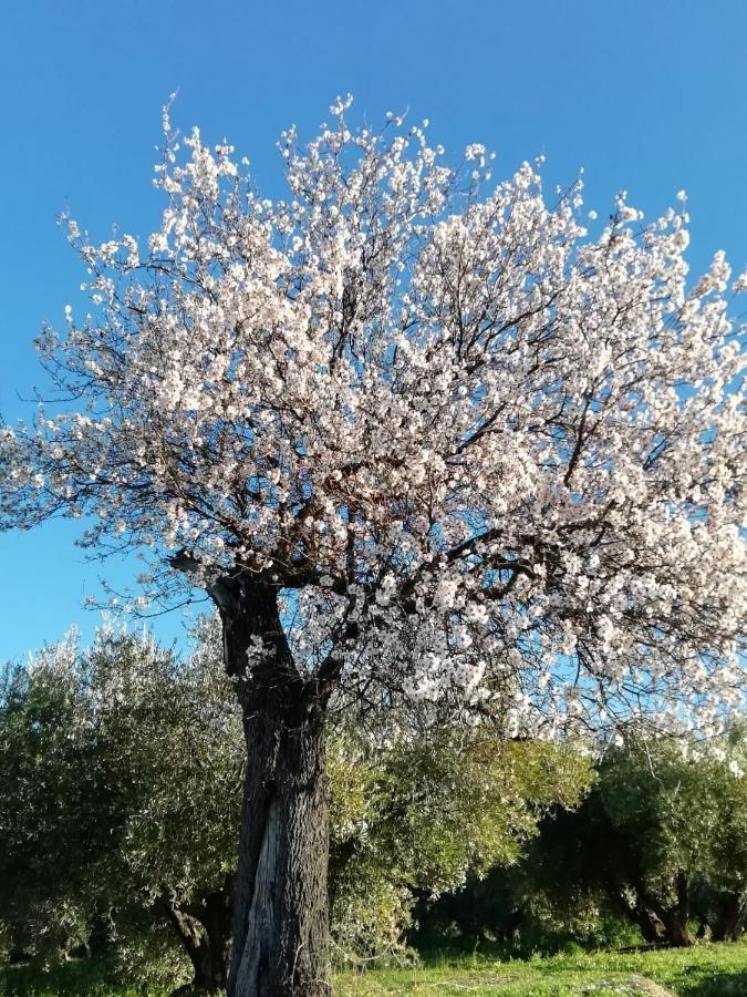 הוילה La Casona De Valenzuela מראה חיצוני תמונה